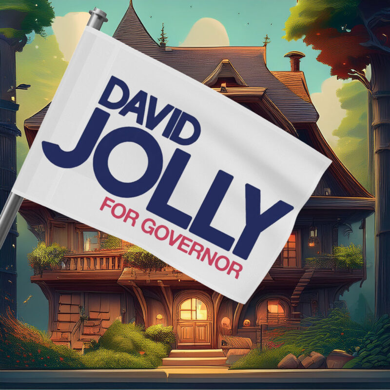 David Jolly For Governor Flag