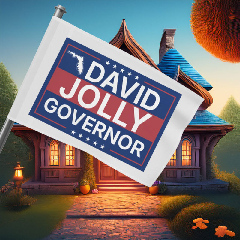 David Jolly for Governor Florida 2026 Democrat Flag