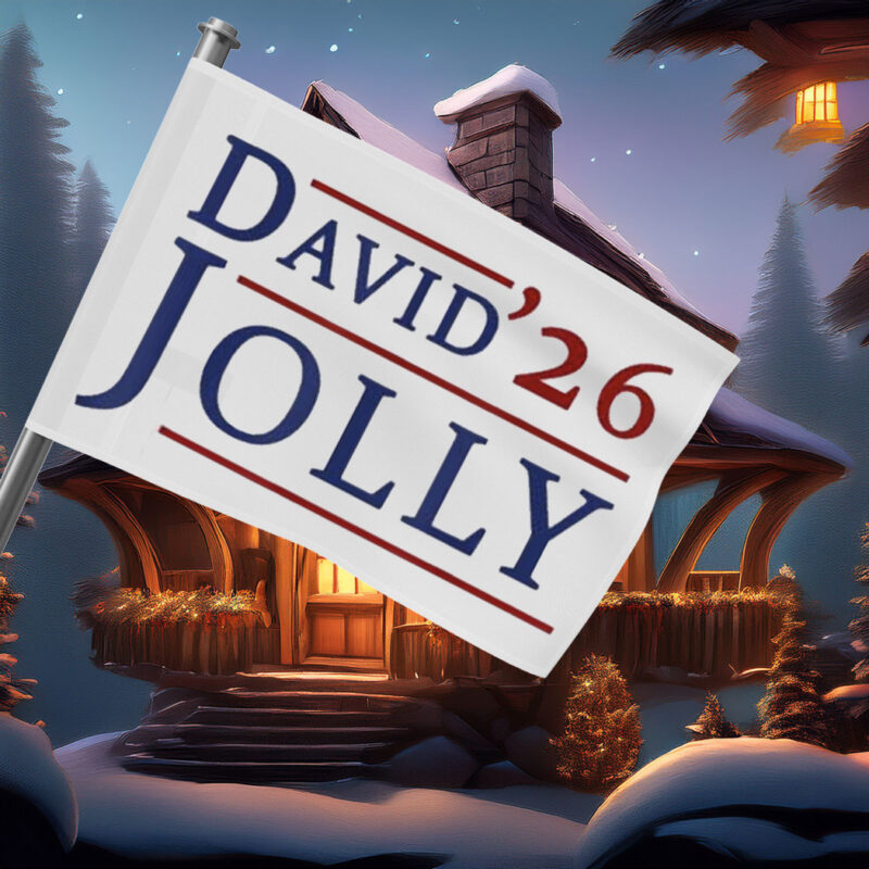 David Jolly for Governor Florida 2026 Flags